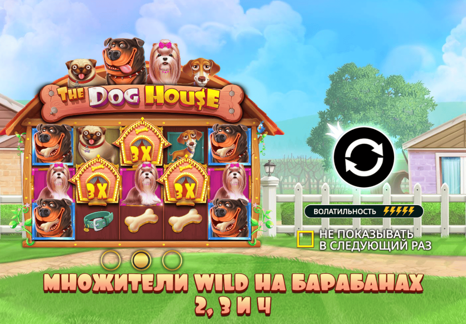 Тактика игр в The Dog House