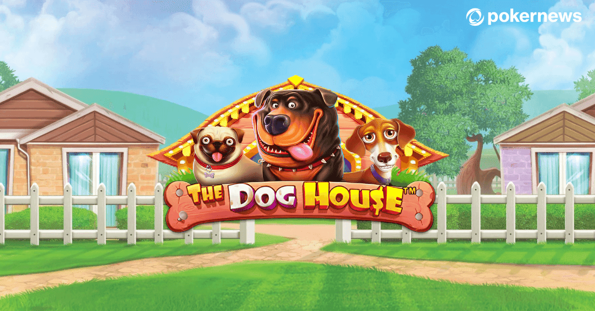 Pantalla del slot The Dog House con razas de perros, huesos y líneas de pago