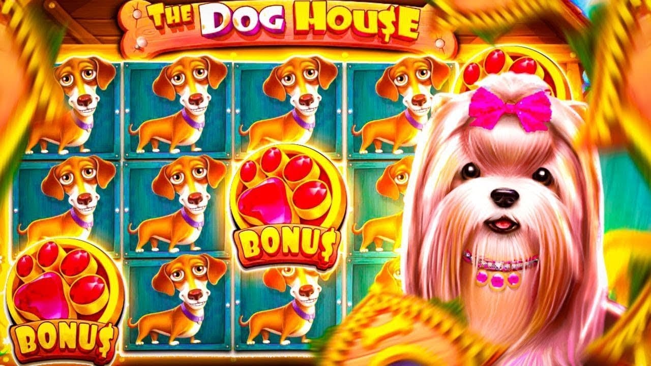 The Dog House en el celular: grilla 5 carretes y los wilds con multiplicador